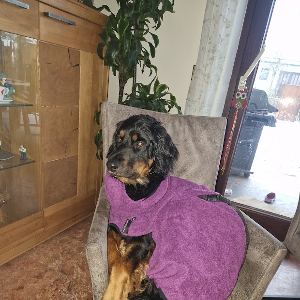 Badewart - wie ich soll nicht auf den Stuhl?